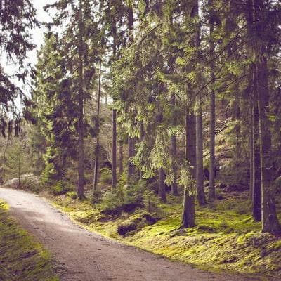 Fahima Haque Talukder Jely