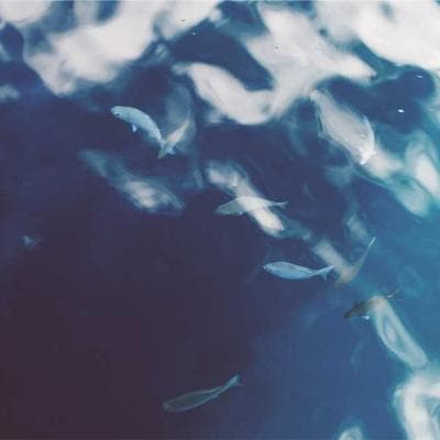 Finance Executive 2022