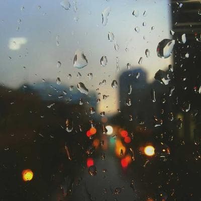 Shahlin Fatema Chowdhury Shakifa