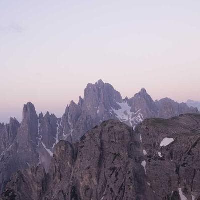 Previous Vice President